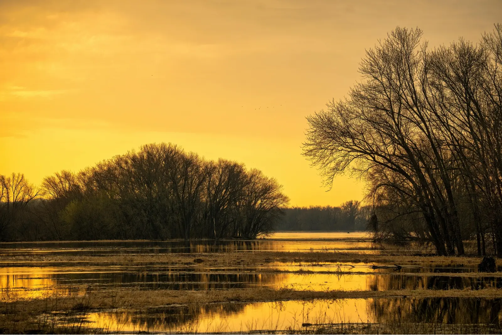 Minneapolis April 2026 Events: Complete Guide | Zesty Dates